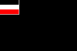 [Flag used by NPD'ers]